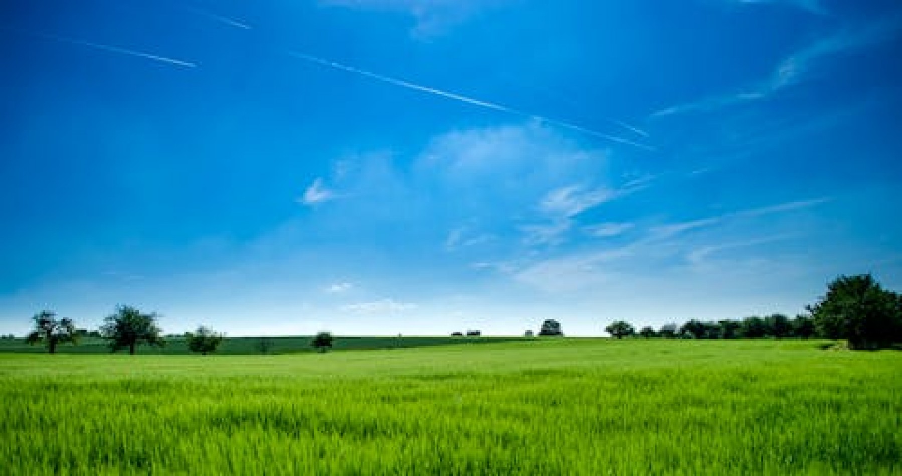 Campo de 1400 Hectareas