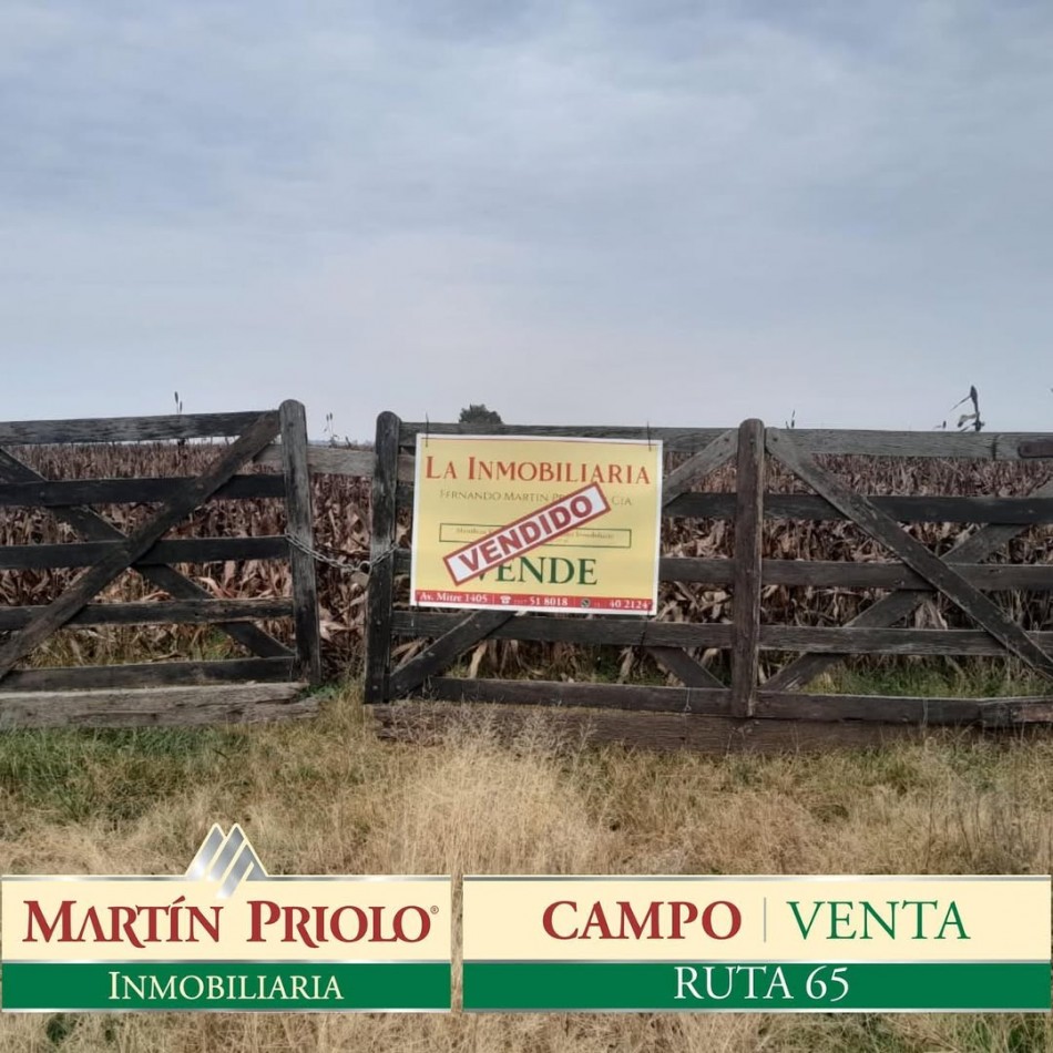 Campo de 54 hectareas