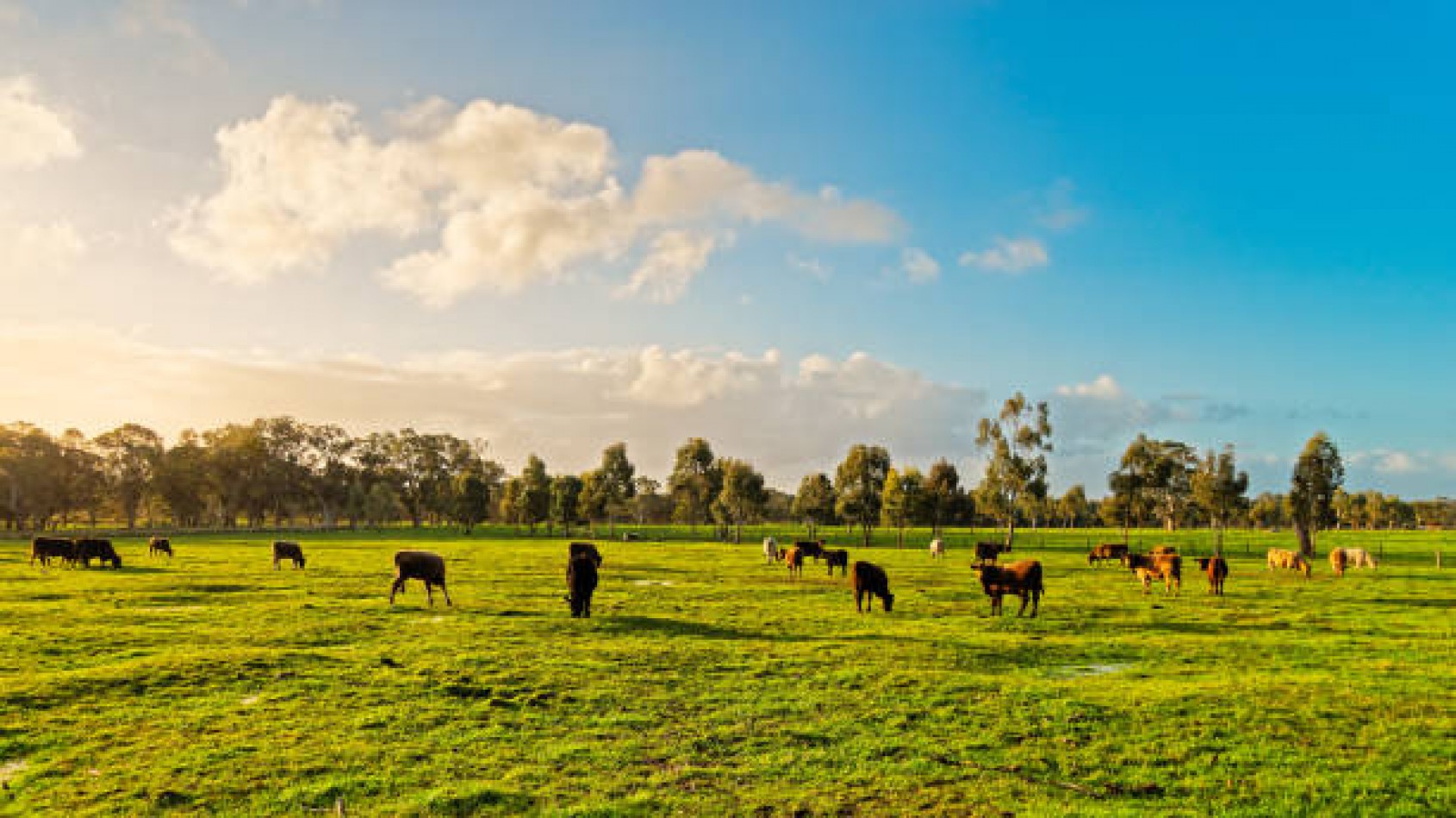 Campo de 560 hectareas