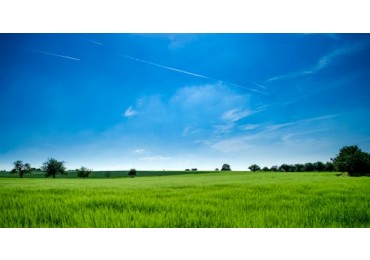 Campo de 1400 Hectareas