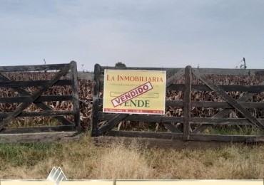 Campo de 54 hectareas